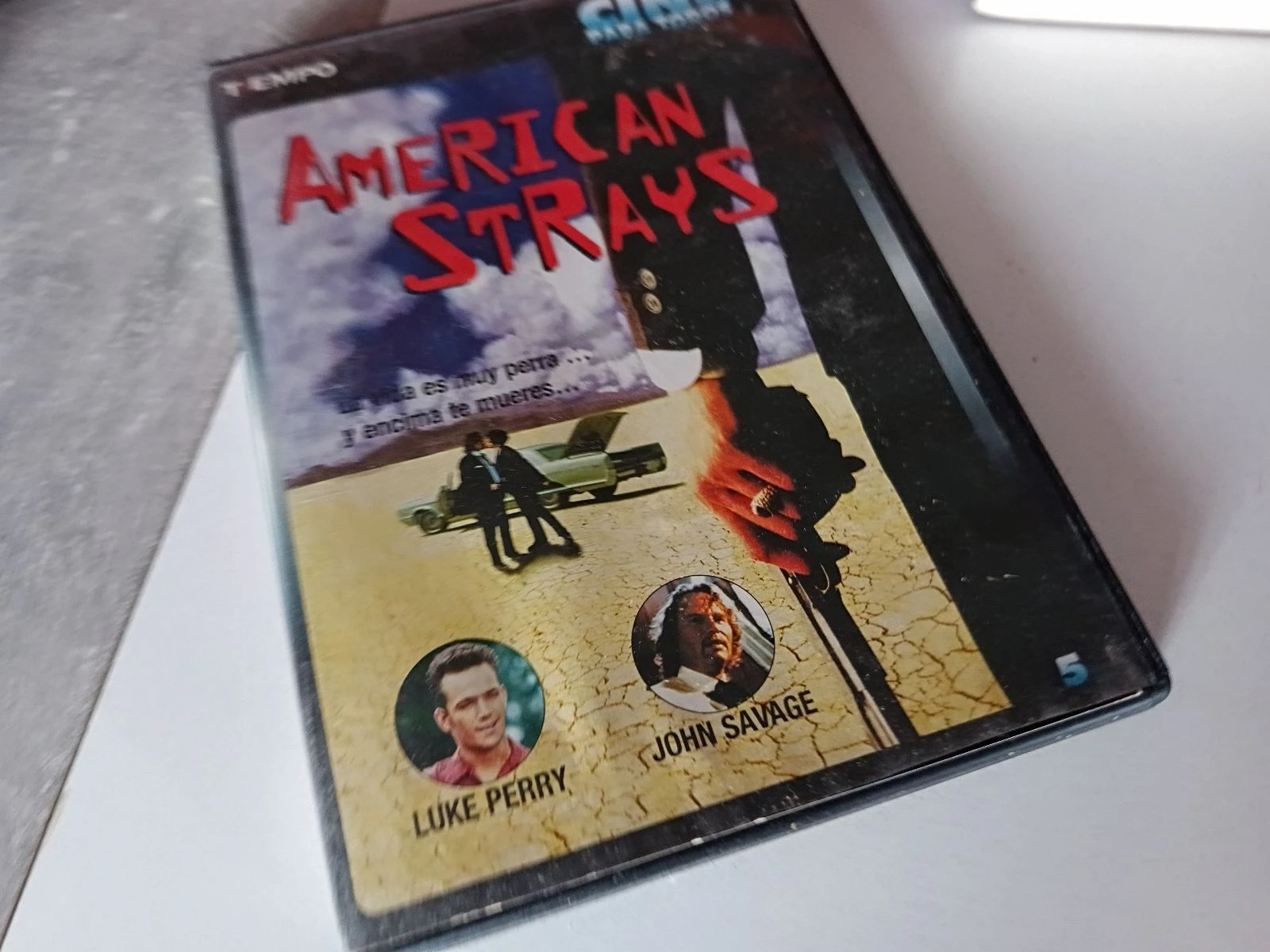 American Strays,2003 DVD 
